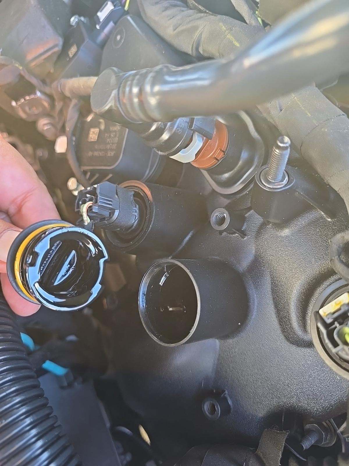 2019 Ford Mustang BULLITT RWD