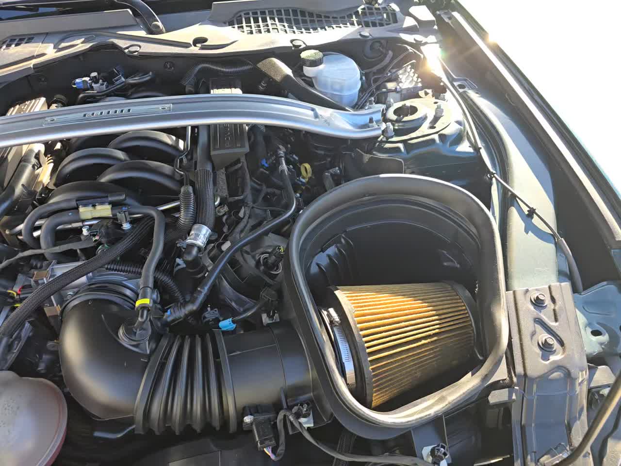 2019 Ford Mustang BULLITT RWD