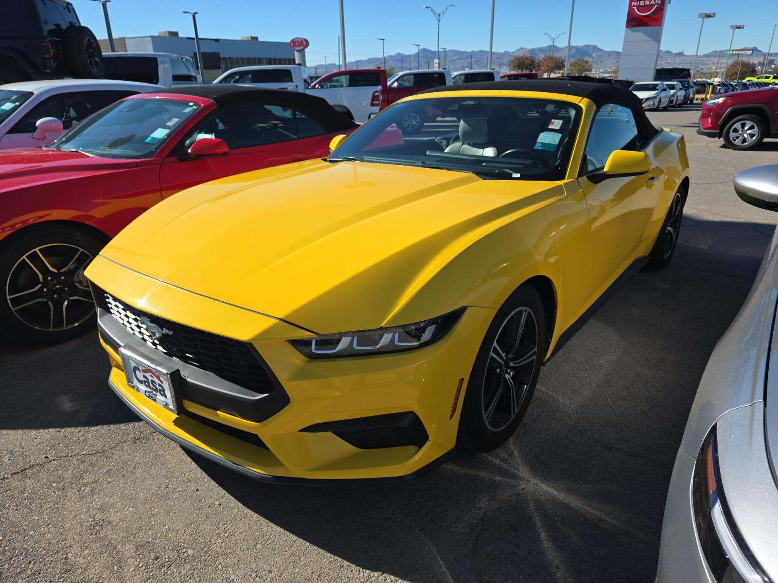 2024 Ford Mustang EcoBoost Premium RWD