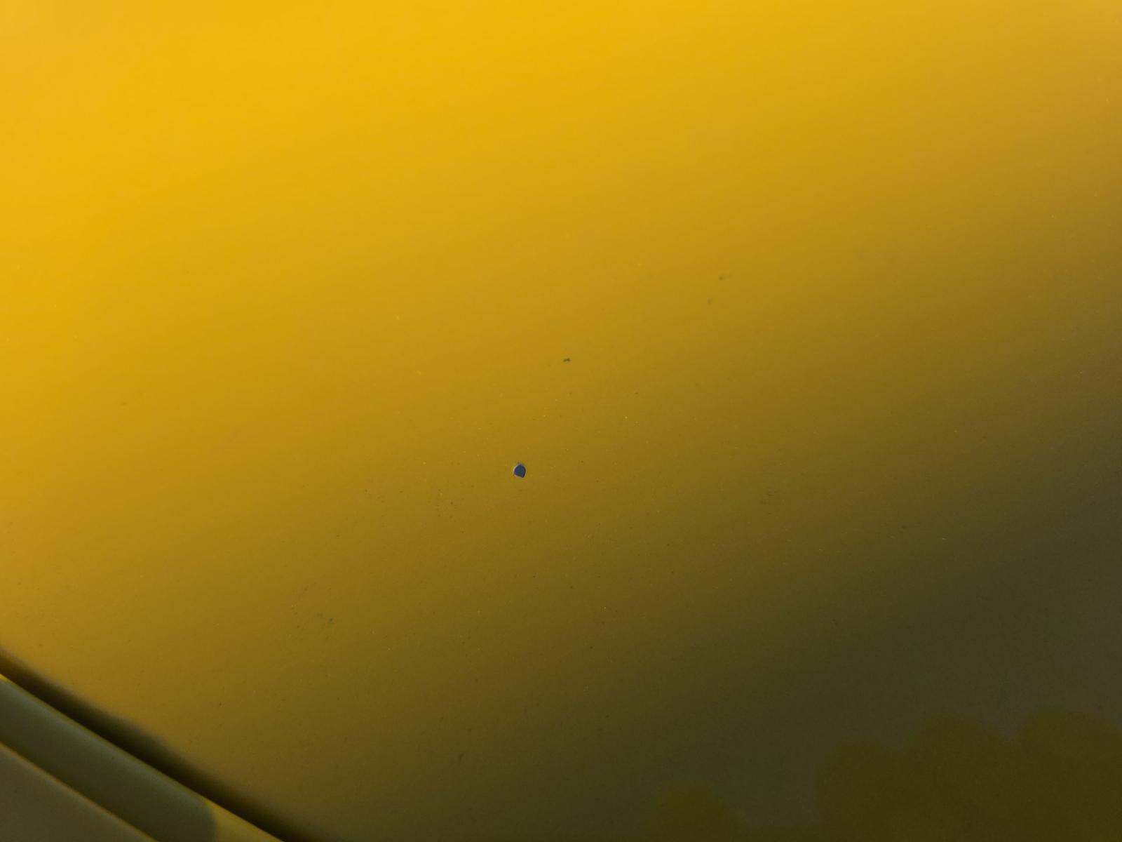 2024 Ford Mustang EcoBoost Premium RWD