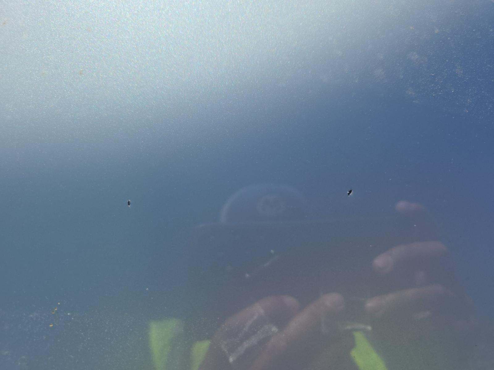 2025 Nissan Rogue SL FWD