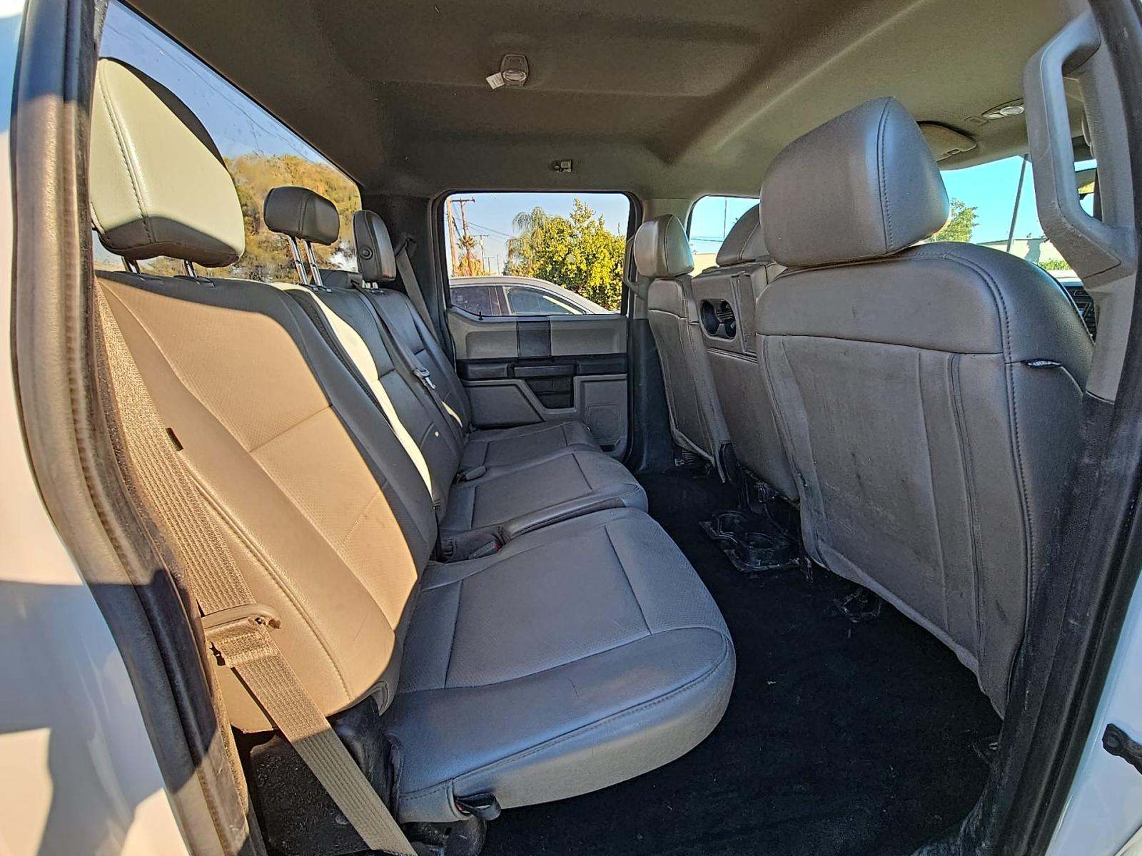 2019 Ford F-150 XL RWD