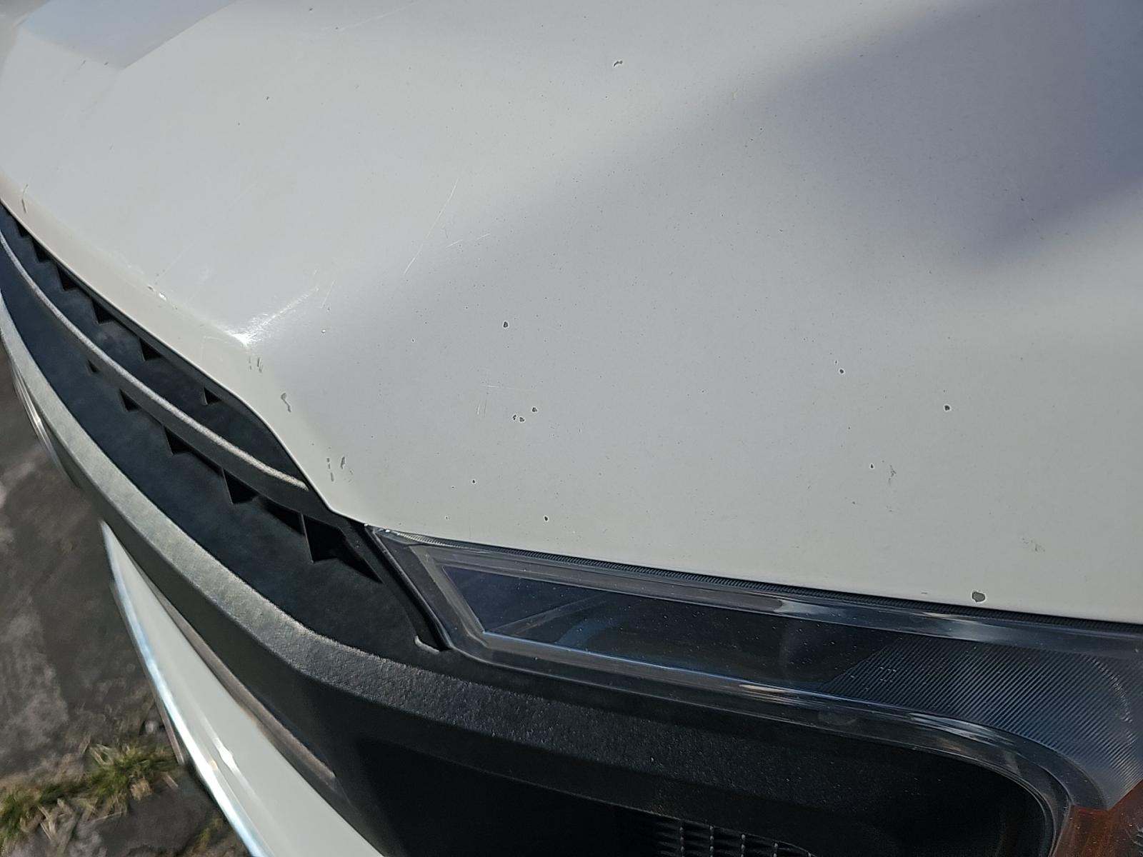 2019 Ford F-150 XL RWD