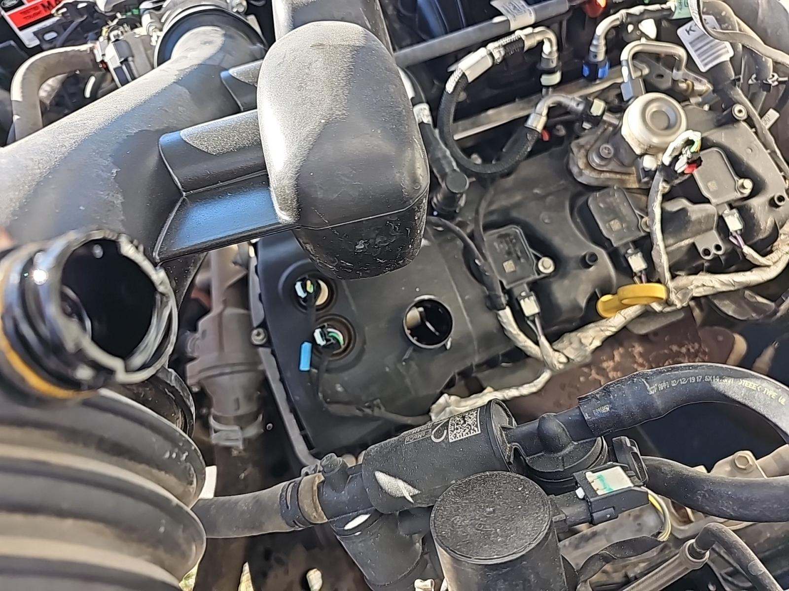 2019 Ford F-150 XL RWD