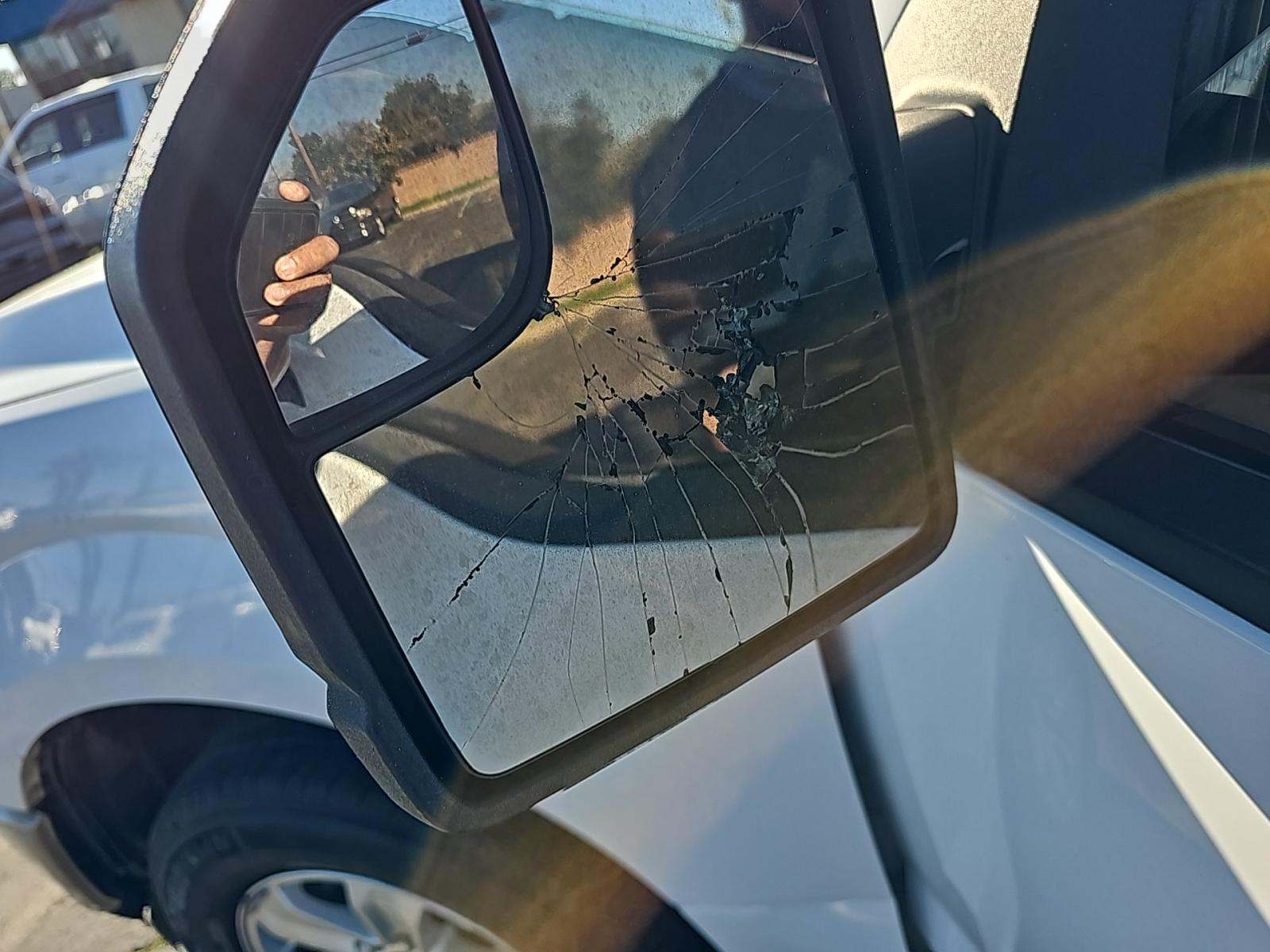 2019 Ford F-150 XL RWD