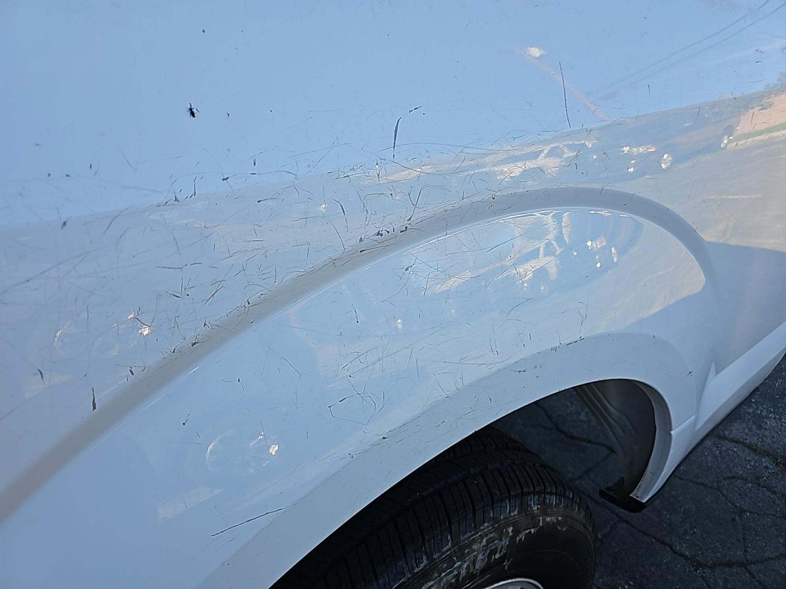 2019 Ford F-150 XL RWD