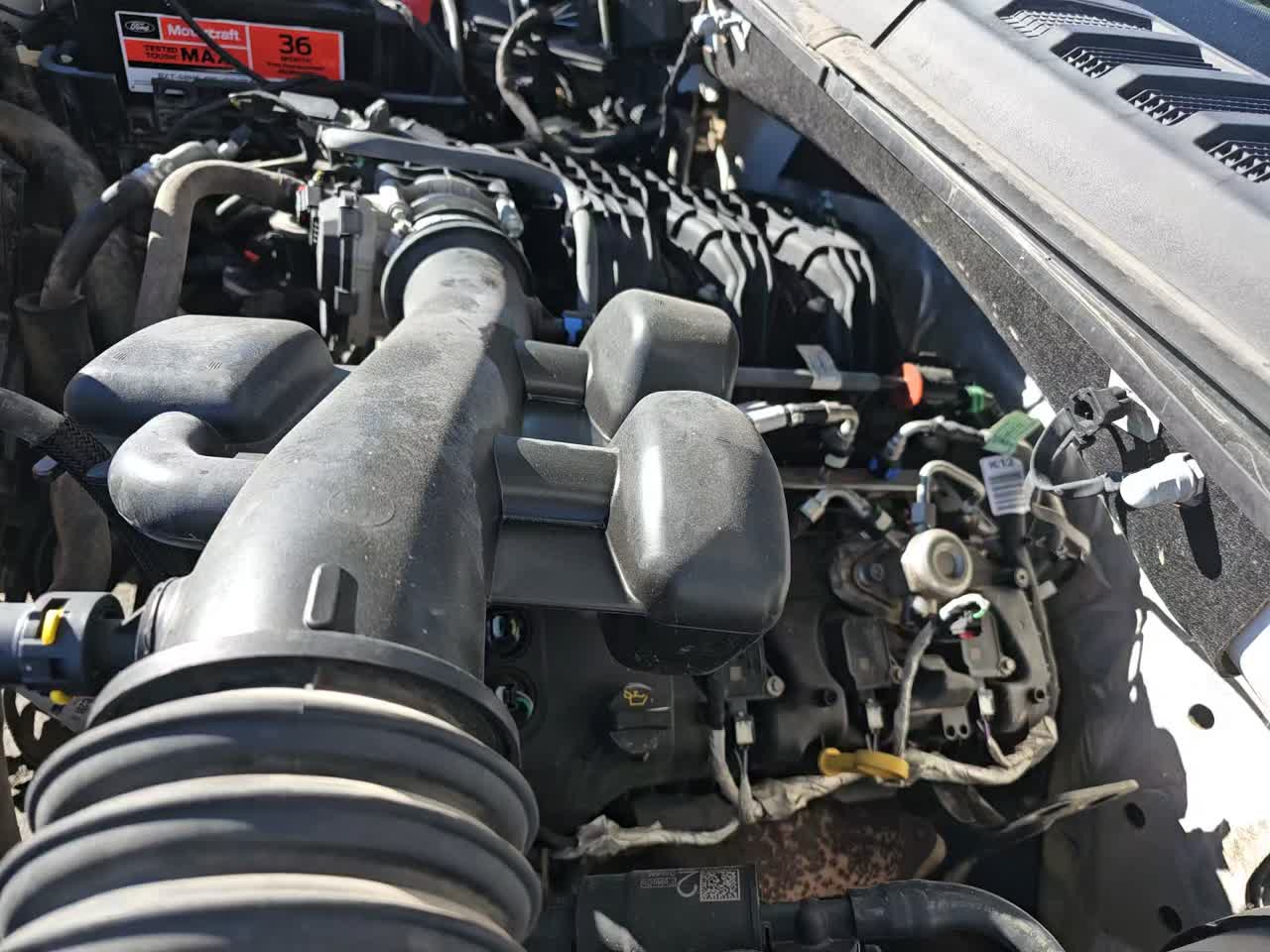 2019 Ford F-150 XL RWD