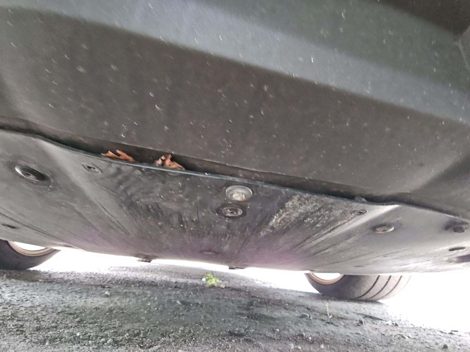 2020 Ford Mustang Shelby GT500 RWD