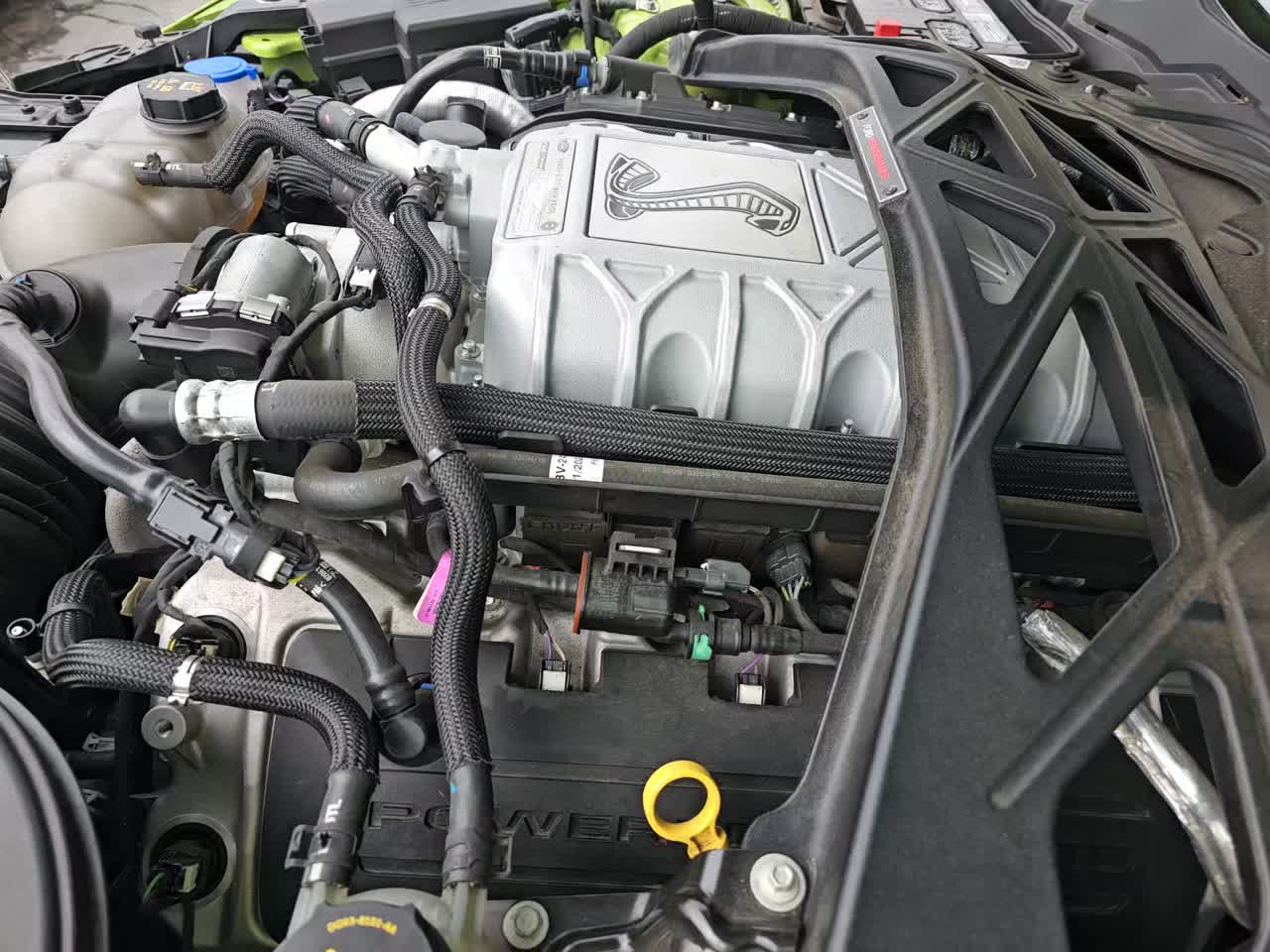 2020 Ford Mustang Shelby GT500 RWD