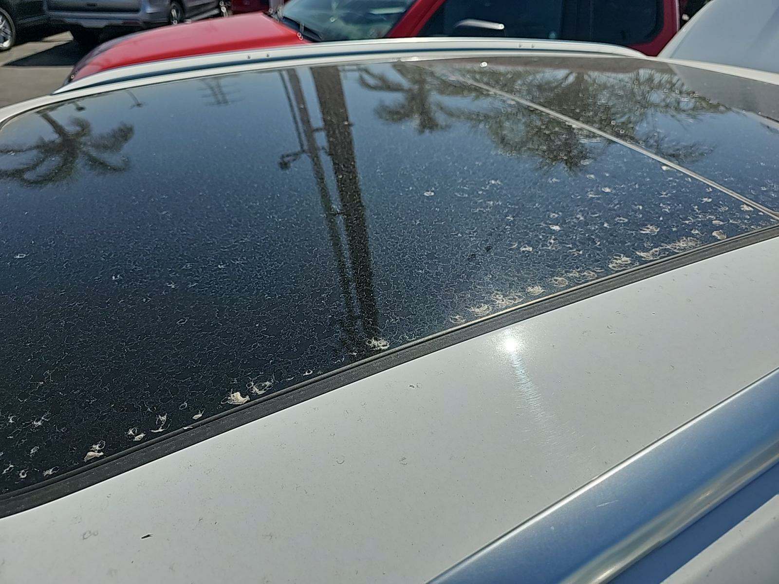 2023 Audi Q5 S line Premium Plus AWD