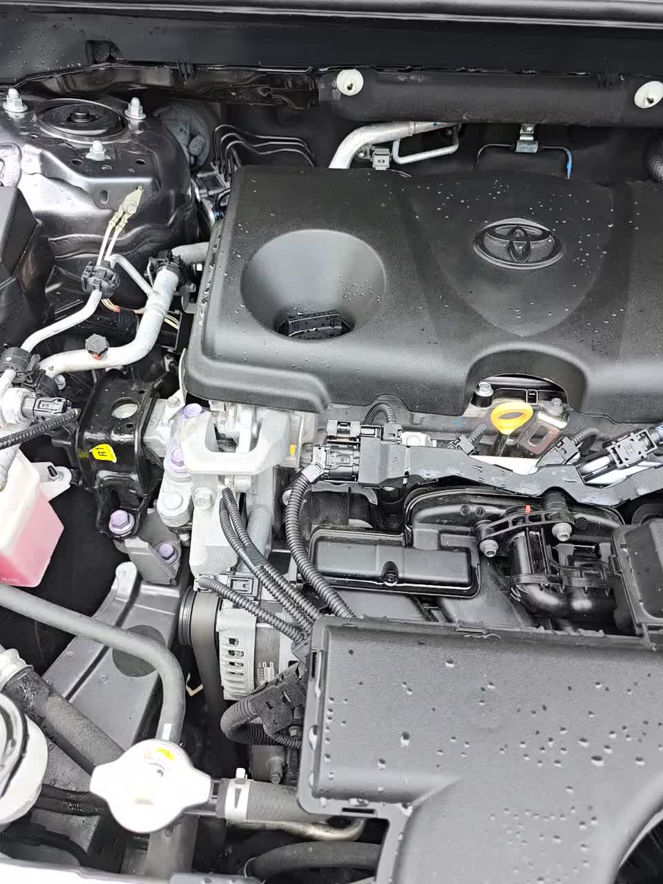 2021 Toyota RAV4 XLE FWD