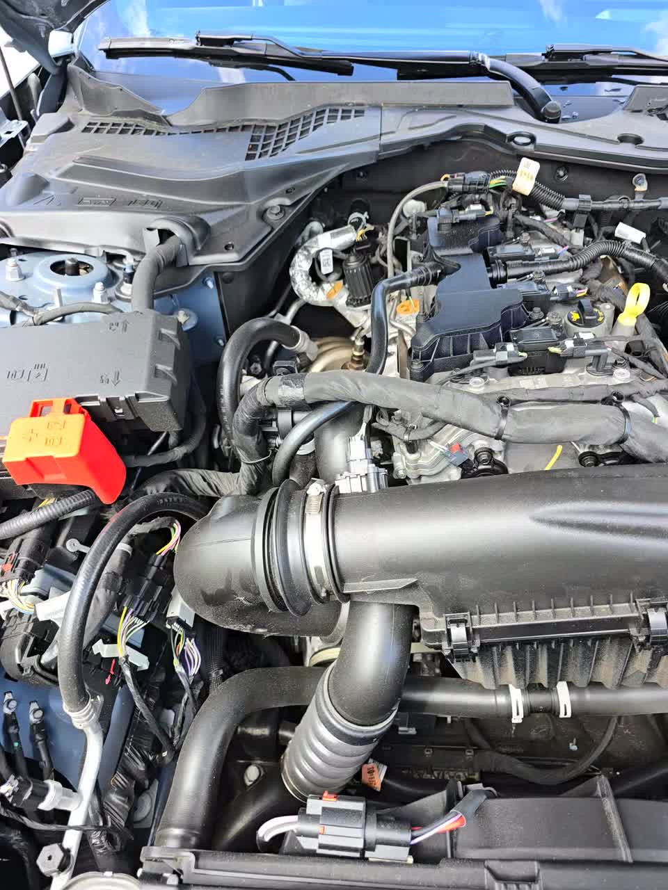 2024 Ford Mustang EcoBoost Premium RWD