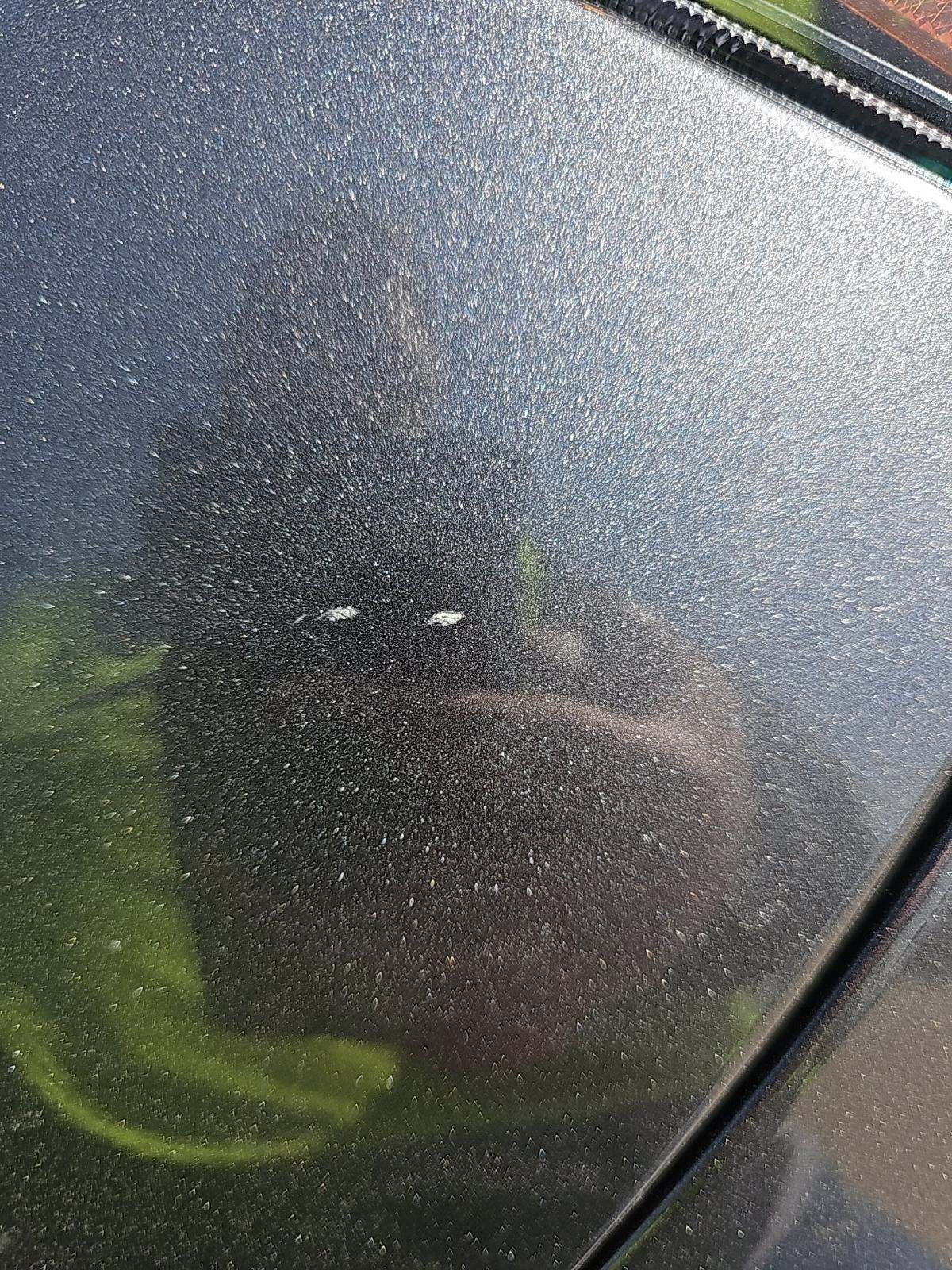 2023 Toyota RAV4 Hybrid XLE AWD