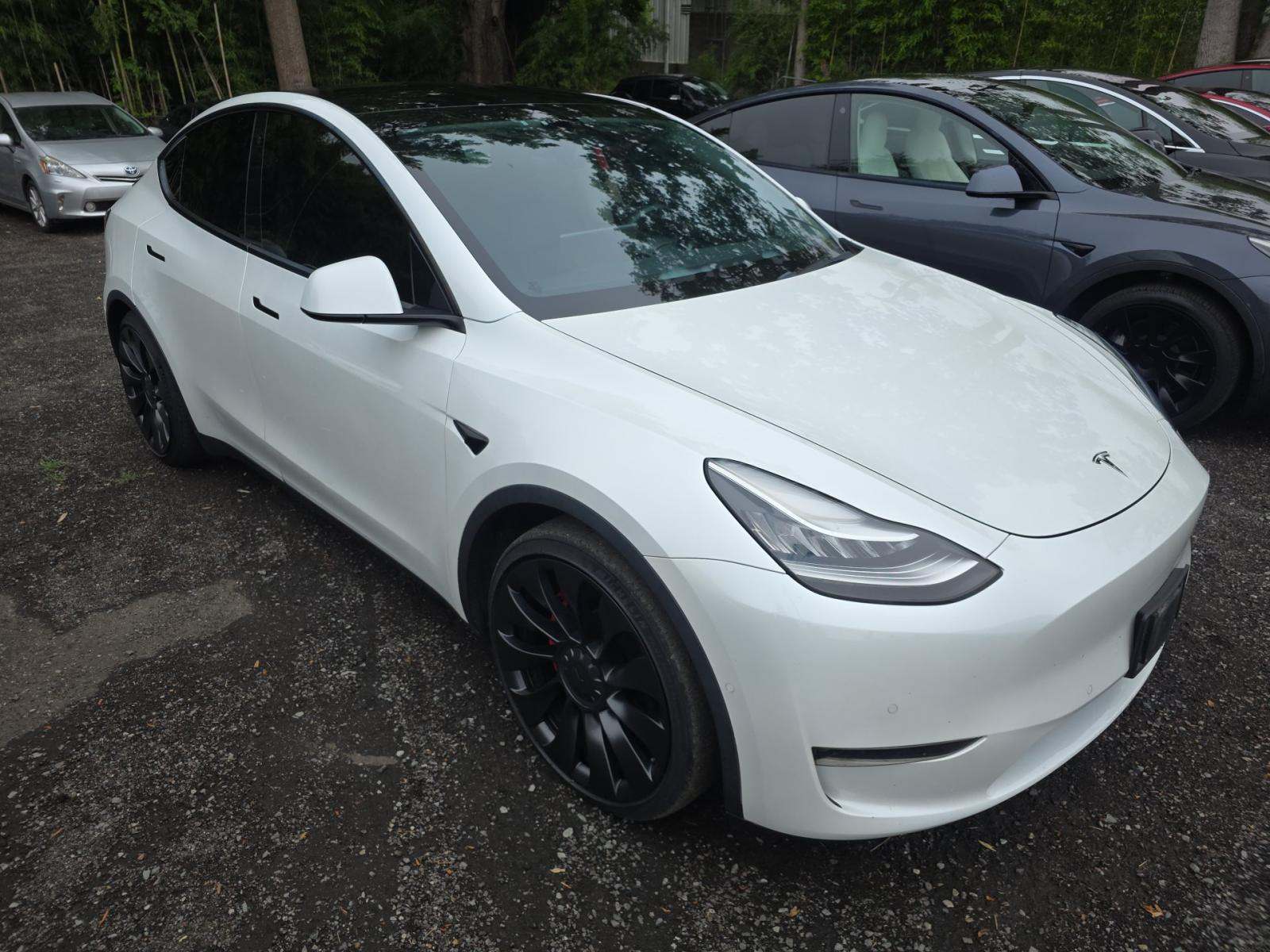 TESLA MODEL Y - 4