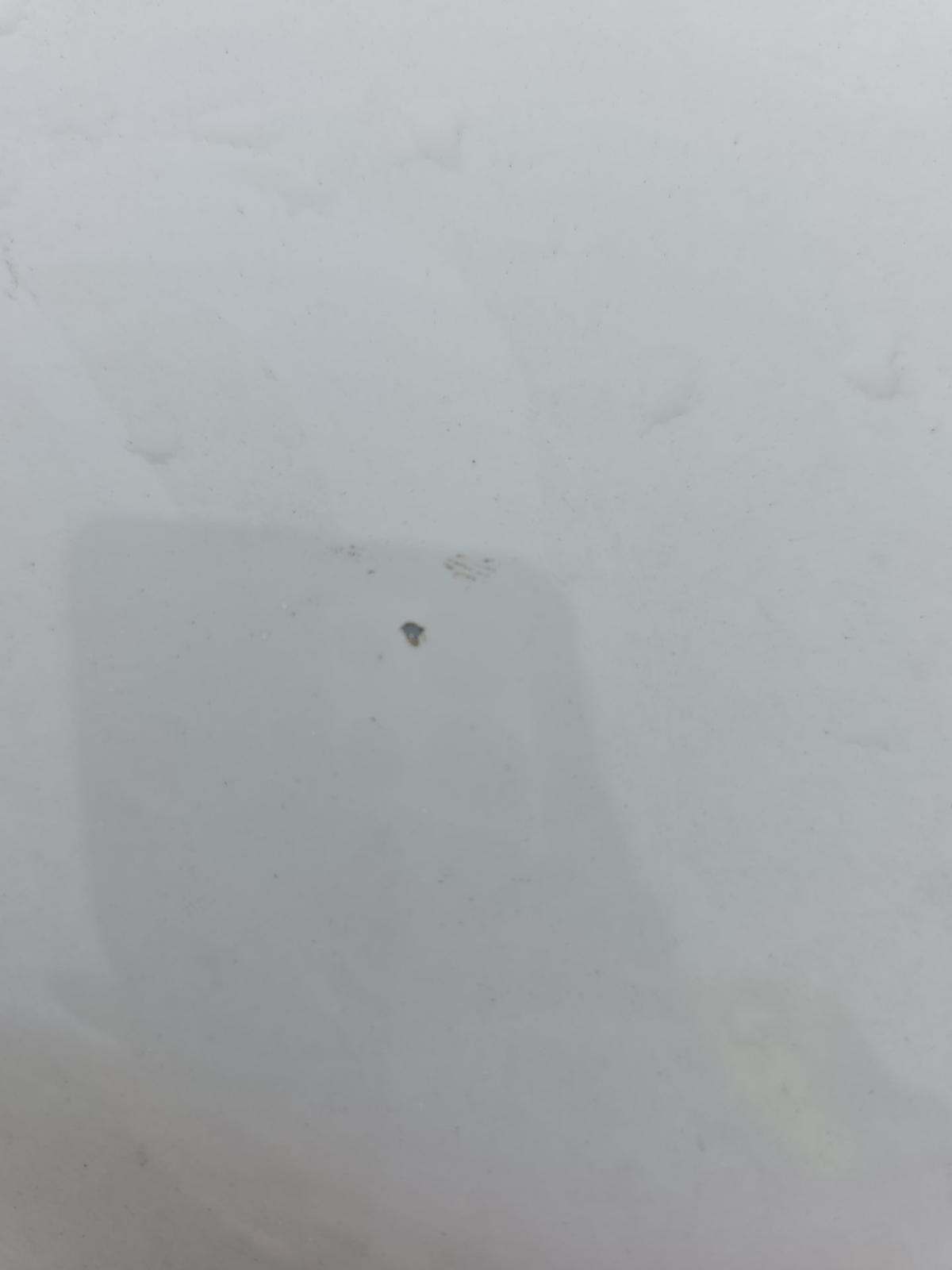 2025 Chevrolet Equinox LT FWD