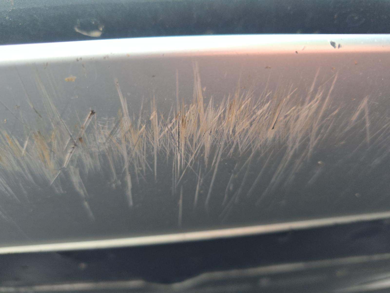 2013 Audi RS 5 Base AWD