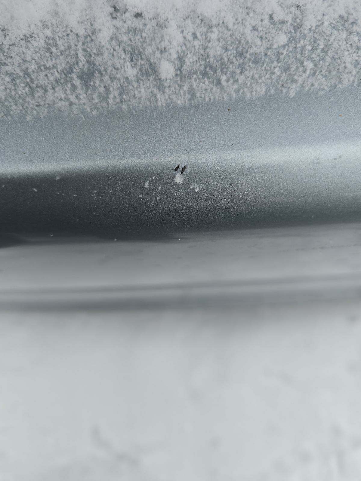 2022 Mercedes-Benz S-Class S 500 AWD