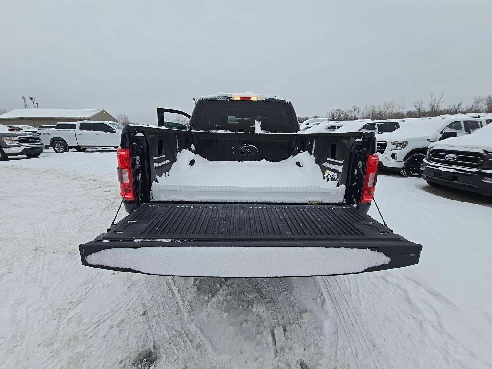 2023 Ford F-150 XLT AWD