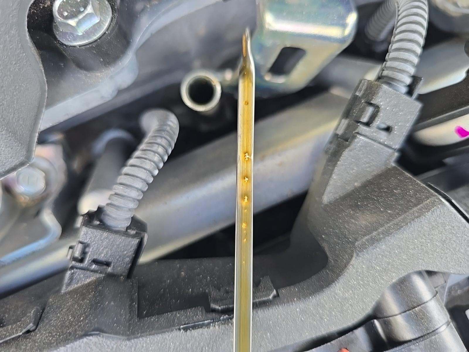 2025 Toyota Camry SE FWD