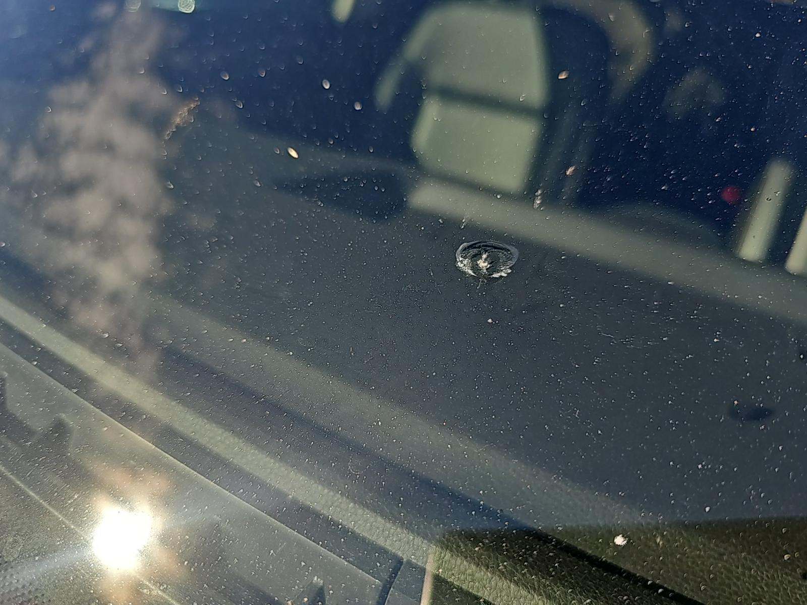 2019 Volkswagen Atlas 3.6L SEL FWD