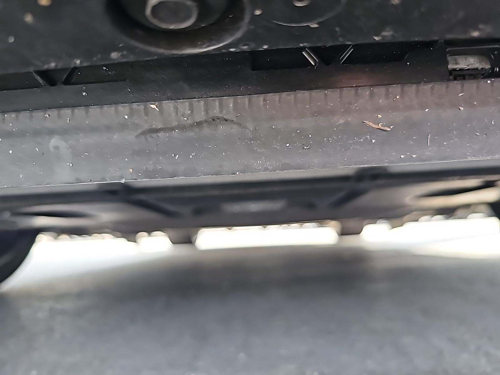 2025 BMW M2 Base RWD