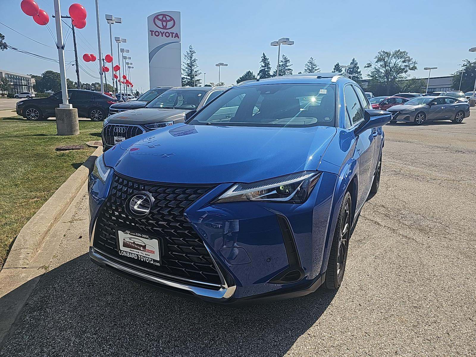 2022 Lexus UX 250h