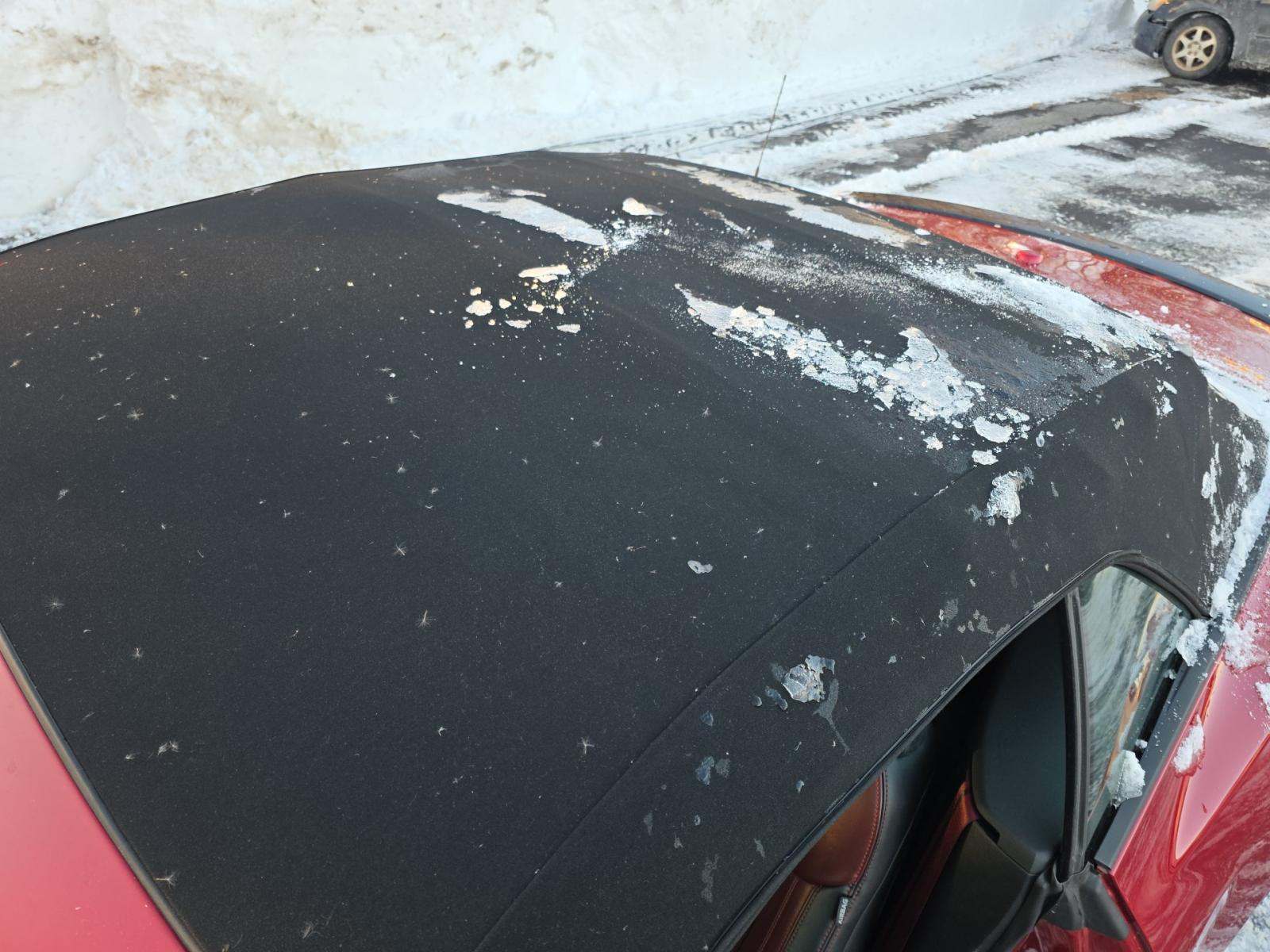 2024 Ford Mustang GT Premium RWD