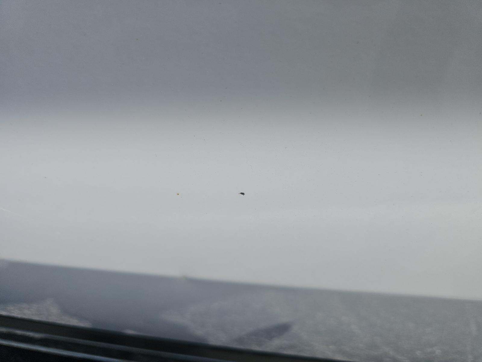 2019 Ford Explorer XLT AWD