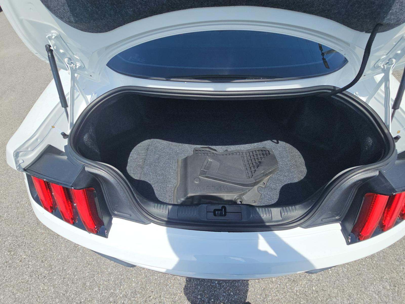 FORD MUSTANG - 10